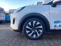 Ford Puma Titanium*LED*WINTER-PAKET*GJR* Weiß - thumbnail 6