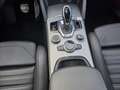 Alfa Romeo Stelvio Stelvio 2.2 t Tributo Italiano Q4 210cv auto Gris - thumbnail 41