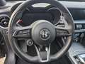 Alfa Romeo Stelvio Stelvio 2.2 t Tributo Italiano Q4 210cv auto Gris - thumbnail 40
