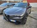 Alfa Romeo Stelvio Stelvio 2.2 t Tributo Italiano Q4 210cv auto Gris - thumbnail 2