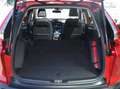 Honda CR-V 1.5T 4WD CVT Executive Rot - thumbnail 7