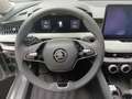 Skoda Superb Combi 1.5 TSI iV DSG SELECTION Grau - thumbnail 11
