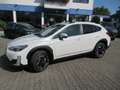 Subaru XV 2.0ie Lineartronic Platinum Subaru Sorglos-Paket Weiß - thumbnail 4