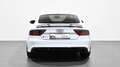 Audi RS7 Sportback 4.0 TFSI performance Q. Tip. Beyaz - thumbnail 5