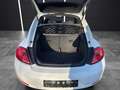 Volkswagen New Beetle Beetle 1.4 TSI Design Xenon/Tempom... Blanc - thumbnail 16