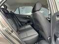 Kia Picanto 1.0 CVVT ComfortPlusLine Navigator Gris - thumbnail 13