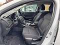 Renault Megane ESTATE 1.5 BLUEDCI 115ch BUSINESS Carplay Blanc - thumbnail 13