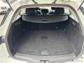Renault Megane ESTATE 1.5 BLUEDCI 115ch BUSINESS Carplay Blanc - thumbnail 18