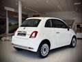 Fiat 500 500 70 ch Hybride BSG S/S Dolcevita Wit - thumbnail 6