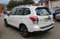 Subaru Forester Exclusive / AHK Wit - thumbnail 6