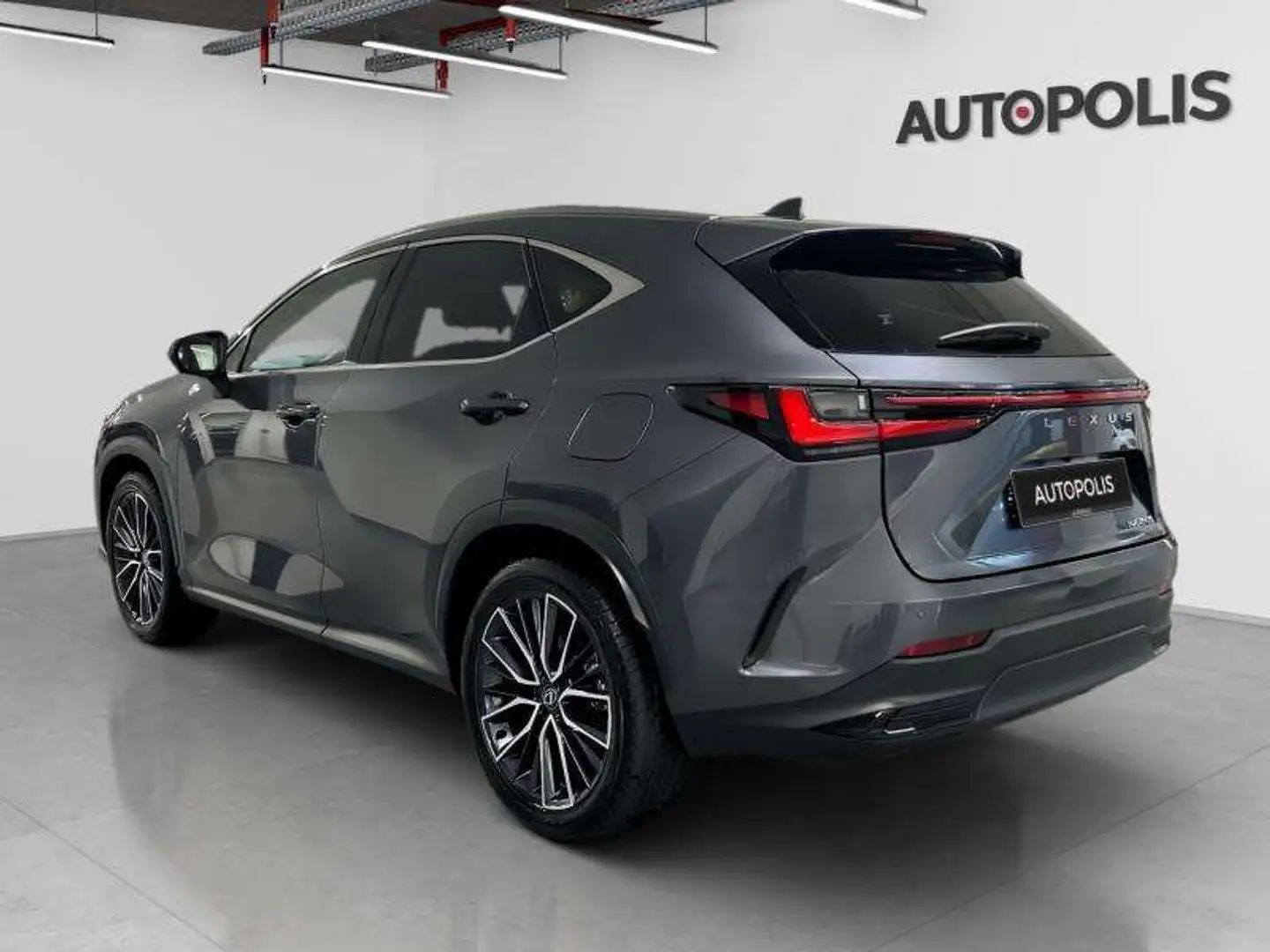 Lexus NX 350h 2.5 Gris - 2