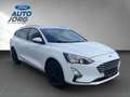 Ford Focus Turnier Cool & Connect 1.0 EcoBoost EU6d *Automati Bianco - thumbnail 5