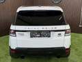 Land Rover Range Rover Sport 3,0 SDV6 Autobiography Dynamik-Paket Weiß - thumbnail 10