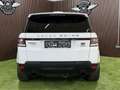 Land Rover Range Rover Sport 3,0 SDV6 Autobiography Dynamik-Paket Weiß - thumbnail 9