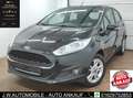 Ford Fiesta 1.0 KLIMA EURO-6 SHZ USB ALLWETTER LED START-STOP Schwarz - thumbnail 1