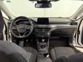 Ford Focus 1.5EcoBlue Active N1Autocarro anche a250€ Gris - thumbnail 13