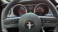 Shelby GT originaler CSM Shelby GT  MY:2008  EZ:2012 Blau - thumbnail 10