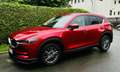Mazda CX-5 Mazda CX-5 2.2 SkyActiv-D Automatik Rot - thumbnail 7