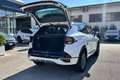 Kia Sportage 1.6 TGDi HEV AT GT-line Blanc - thumbnail 7