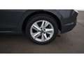 Volkswagen Golf VIII 1.0 TSI Life LED AHK RADAR ASSIST TEMP Grau - thumbnail 24