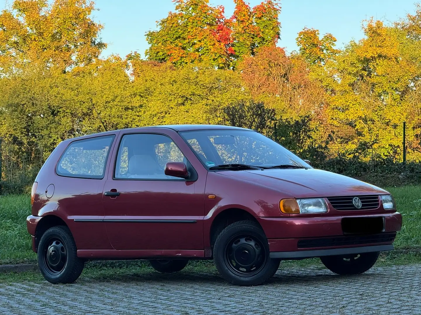 Volkswagen Polo Polo III 50 Servo Comfortline Neue Tüv Rosso - 2