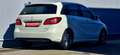 Mercedes-Benz B 160 B 160 d Aut. Pickerl 8/2027+4 Weiß - thumbnail 4