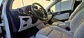Mercedes-Benz B 160 B 160 d Aut. Pickerl 8/2027+4 Weiß - thumbnail 10