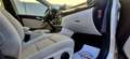 Mercedes-Benz B 160 B 160 d Aut. Pickerl 8/2027+4 Weiß - thumbnail 16