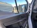 Ford Transit Ford Transit 2.0 EcoBlue Hybrid 170 CV L3H2 2022 - thumbnail 12