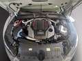 Audi RS5 sportback 2.9 tfsi performance edition quattro 470 Grigio - thumbnail 9