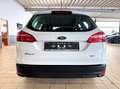 Ford Focus 1.0L TURNIER *KLIMA+MFL+E-FH* 44TKM White - thumbnail 11