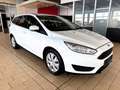 Ford Focus 1.0L TURNIER *KLIMA+MFL+E-FH* 44TKM White - thumbnail 3