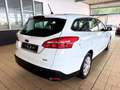 Ford Focus 1.0L TURNIER *KLIMA+MFL+E-FH* 44TKM Wit - thumbnail 8
