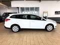 Ford Focus 1.0L TURNIER *KLIMA+MFL+E-FH* 44TKM Wit - thumbnail 12