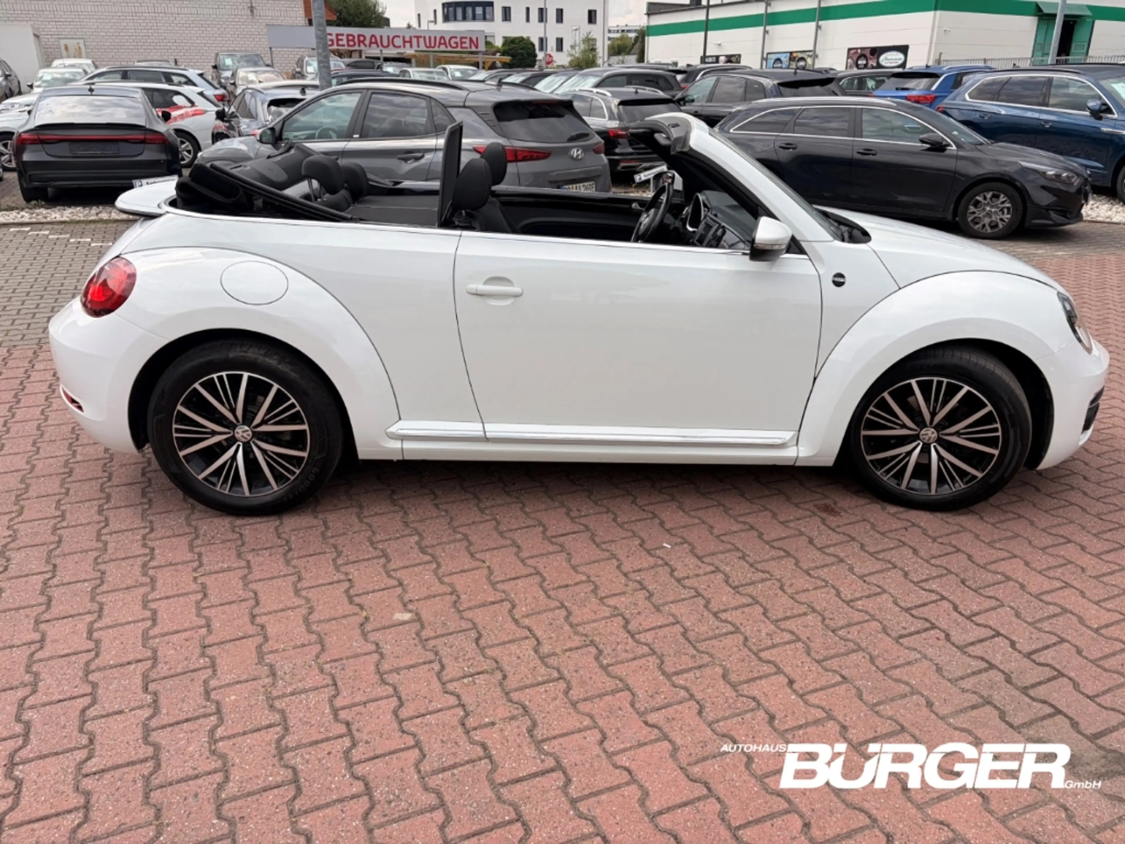 Volkswagen Beetle Cabriolet Navi Dyn. Windschott Scheckheft Alu Sitz — photo 3