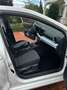 SEAT Ibiza Ibiza 1,0 Austria Edition Austria Edition Weiß - thumbnail 9
