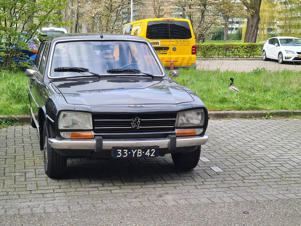 Peugeot 504 2.0 GL Automatic, foto 8