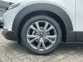 Mazda CX-30 2.5 AT Center-Line Navi LED HUD ACAA Wit - thumbnail 6