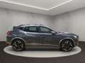 CUPRA Formentor . Grau - thumbnail 6