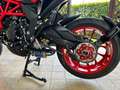 MV Agusta Turismo Veloce RC - thumbnail 5