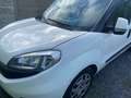 Fiat Doblo CARGO MAXI  SX 1,6 MULTI JET Blanc - thumbnail 2