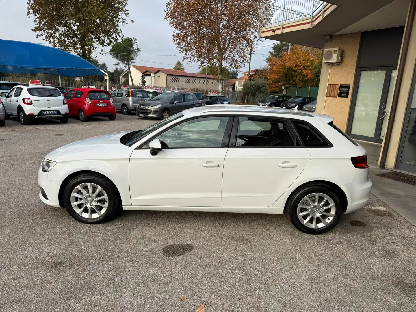 Audi A3 Blanc - 2