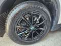 BMW X1 X1 sdrive16d Sport '20 Bianco - thumbnail 7
