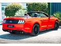 Ford Mustang Cabriolet Gt 5.0l V8 450 BVA10 Premium Красный - thumbnail 13