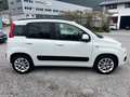 Fiat Panda 1,2 69 *Lounge-Italia* Weiß - thumbnail 3