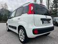 Fiat Panda 1,2 69 *Lounge-Italia* Weiß - thumbnail 5