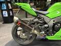 Kawasaki Grün - thumbnail 3