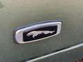 Jaguar XJ 4.2 Schuifdak, Sage green/Doeskin Leather Yeşil - thumbnail 10