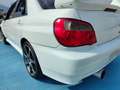 Subaru Impreza 2.0 turbo WRX 4wd Bianco - thumbnail 12