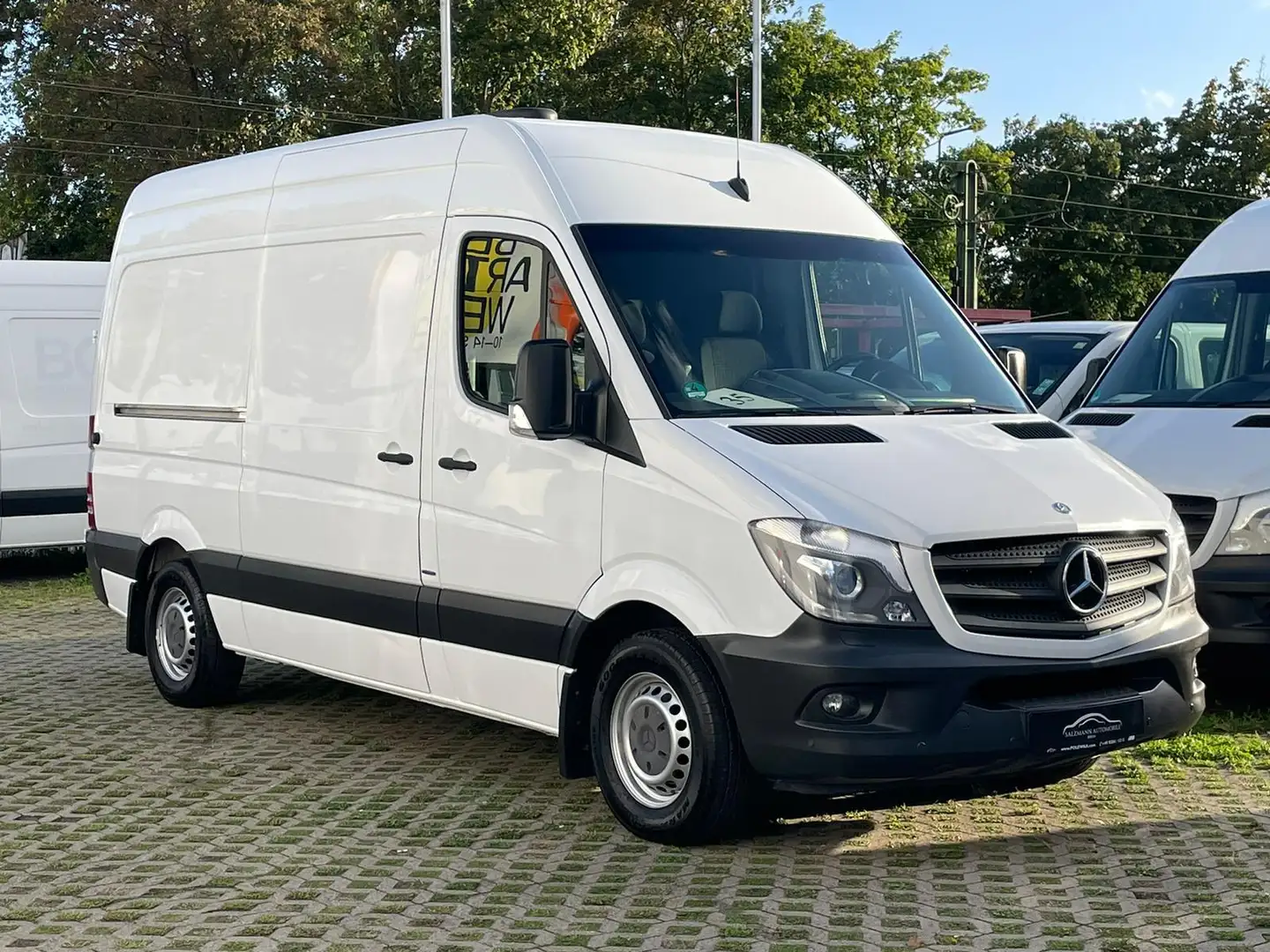 Mercedes-Benz Sprinter 313 CDI/L2/H2/Aut./KLIMA/AHK 2,8t/XENON Weiß - 1